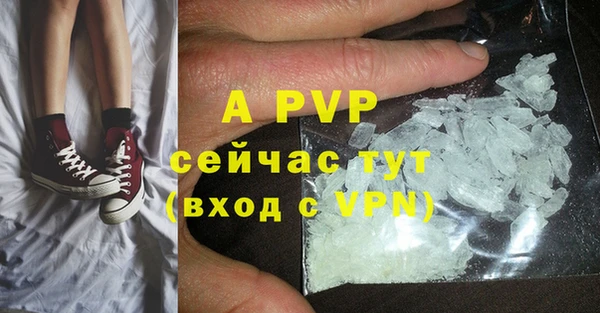 эйфоретик Арсеньев