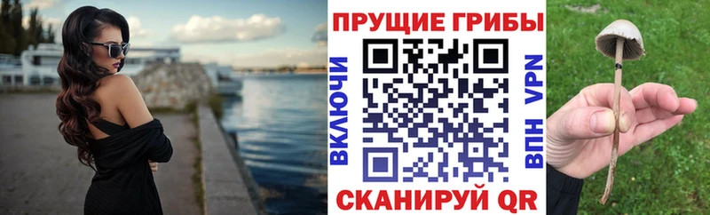 Галлюциногенные грибы мухоморы  hydra маркетплейс  Большой Камень 